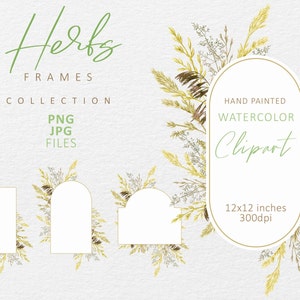 Aquarelle automne cadre PNG, couronne de fleurs, herbes séchées, herbe sauvage des champs, fleurs sauvages conception de faire-part de mariage Téléchargement instantané numérique 82