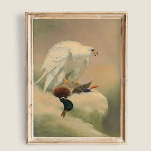Puede incluir: Una impresión vintage enmarcada representa un halcón blanco posado sobre un pato capturado. El halcón tiene plumas blancas detalladas y garras amarillas. El pato tiene plumas marrones, azules y naranjas. La obra de arte está sobre un fondo suave y neutro.