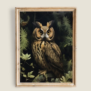 Puede incluir: Una impresión enmarcada de un búho marrón y blanco con ojos amarillos, posado en una rama en un entorno de bosque verde oscuro.