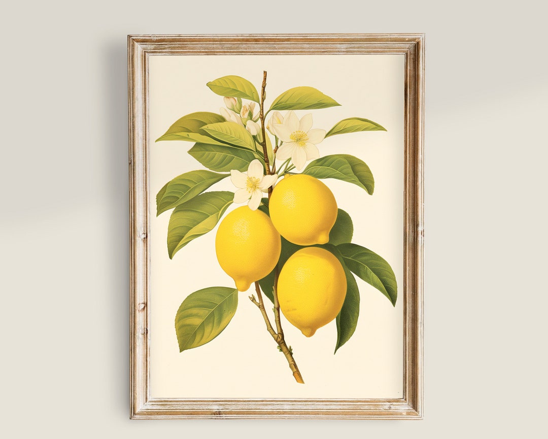 Vintage Kitchen Prints, Yellow Lemons, Country Kitchen Wall Art ...