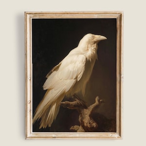 Puede incluir: Impresión artística enmarcada de un cuervo blanco posado en una rama. El ave tiene plumas detalladas y un pico prominente, sobre un fondo oscuro. La obra de arte es de estilo vintage, con un marco de madera clara desgastada.
