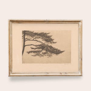 May include: A framed black and white print of a tree with long, sweeping branches. The artwork is in a rectangular, light-colored frame with a distressed, vintage look. The print itself has a sepia tone, adding to its antique aesthetic.