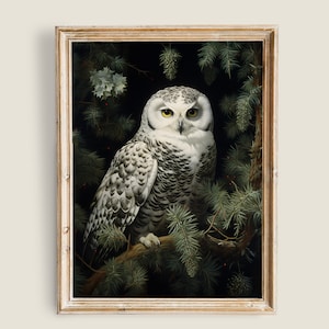 Vintage Owl Painting, Dark and Moody Wall Art, Dark Academia Decor, PRINTABLE art, Nature Animal painting, Snowy White Owl Bird Prints