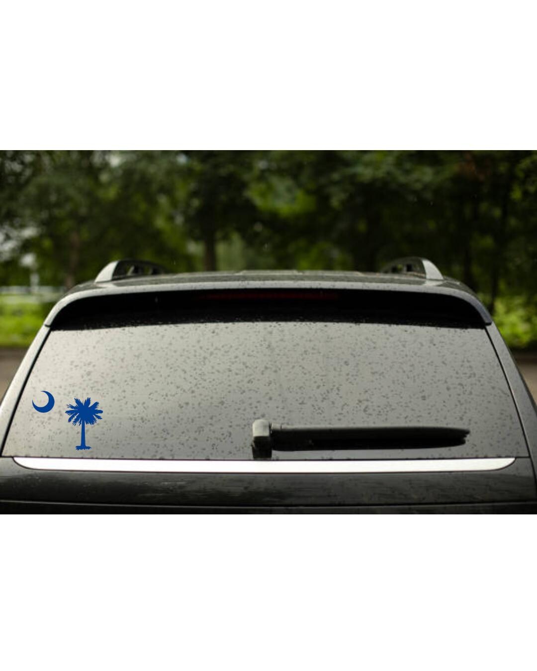 Sc Native Sticker South Carolina Car Decal | Charleston | Car Decal | Accessories | SC ...