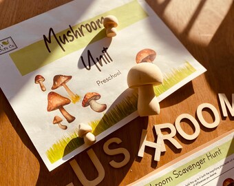 Mushroom Unit - Reggio & Nature Inspired