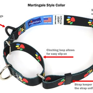 Bavaria Dog Collar Bavarian Flag Quick Release or Martingale Style Made in NJ, USA image 5