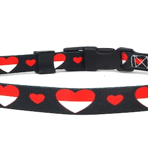 Cat Collar | I Love Indonesia | Indonesian Flag | Red Hearts  | Easy Release Safety Buckle | Made in NJ, USA | With D ring for Tags