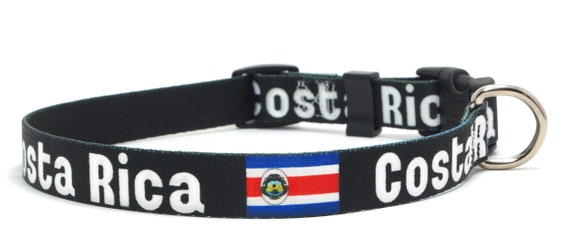 Costa dog sale collar