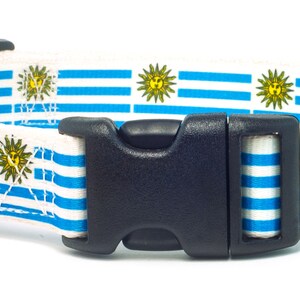 Uruguay Dog Collar | Uruguayan Flag | Quick Release or Martingale Style | Made in NJ, USA