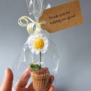 May include: A small crocheted flower pot with a white daisy and green leaves. The pot is wrapped in clear plastic and tied with a yellow ribbon. A brown tag is attached to the ribbon with the text "Thank you for helping me grow!"
