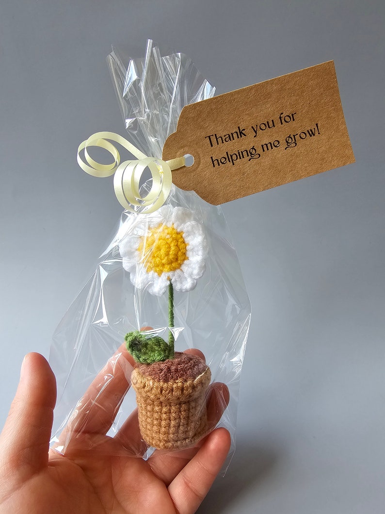 May include: A small crocheted flower pot with a white daisy and green leaves. The pot is wrapped in clear plastic and tied with a yellow ribbon. A brown tag is attached to the ribbon with the text "Thank you for helping me grow!"