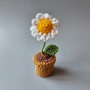 May include: A crocheted daisy flower in a brown and yellow pot. The flower is white with a yellow center and green leaves.