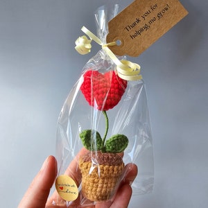 May include: A small crocheted plant with a red heart for a flower, in a brown pot, packaged in a clear plastic bag with a brown tag that says "Thank you for helping me grow!" and a small yellow tag that says "Handmade with love".