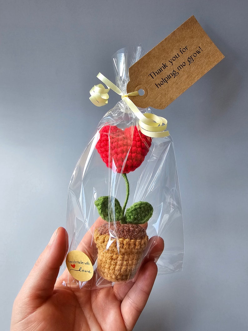 May include: A small crocheted plant with a red heart for a flower, in a brown pot, packaged in a clear plastic bag with a brown tag that says "Thank you for helping me grow!" and a small yellow tag that says "Handmade with love".