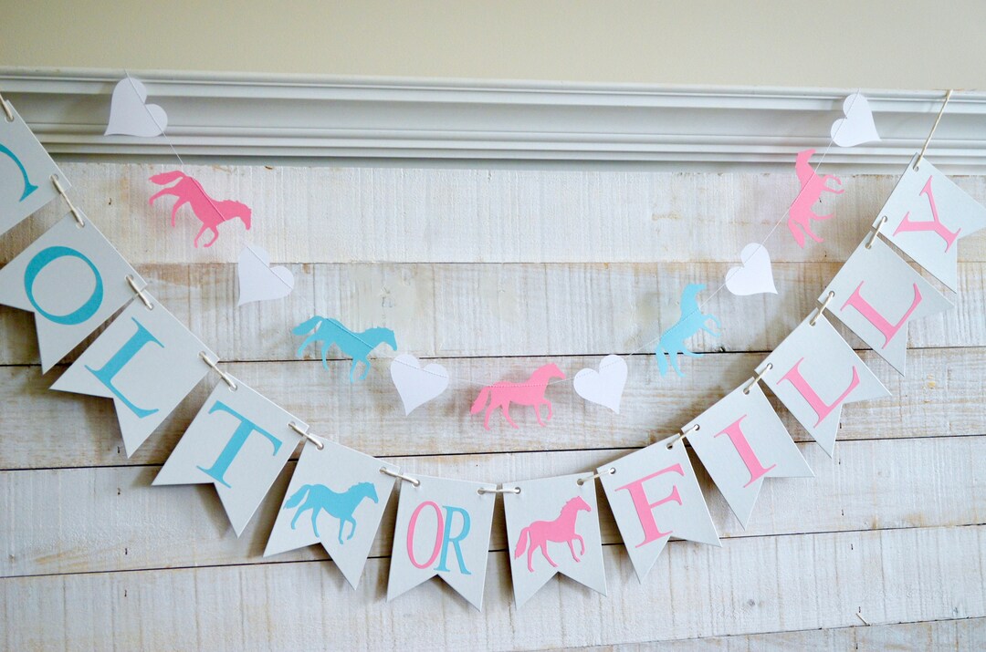 Colt or Filly Gender Reveal, Boy or Girl Horse Themed Baby Announcement, Gender Reveal Party