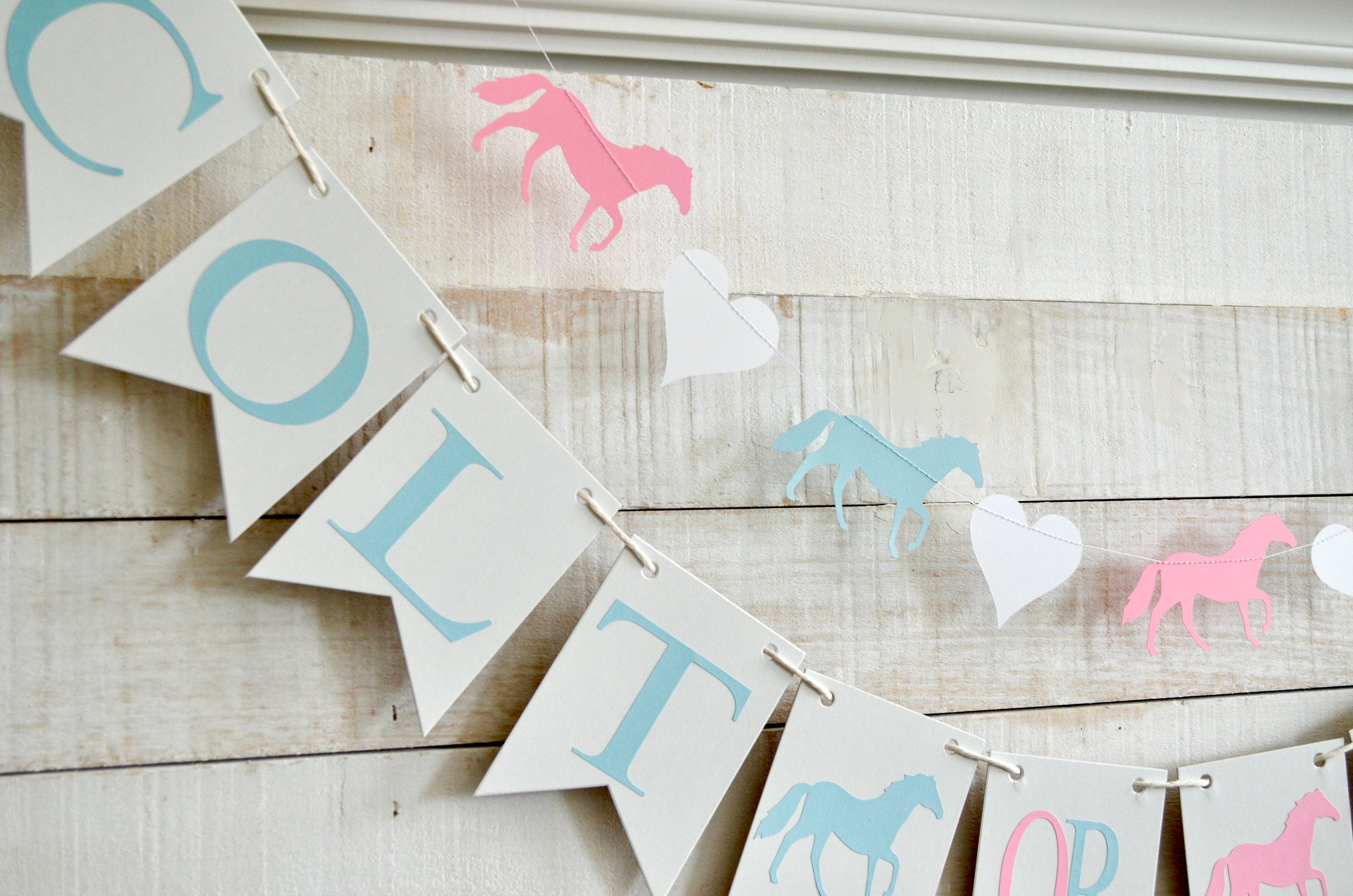 Colt or Filly Gender Reveal Boy or Girl Horse Themed Baby Etsy
