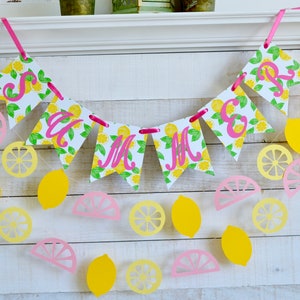 Summer Banner, Lemonade Banner, Lemonade Party Sign, Summer Bunting, Pink and green Summer decorations, Lemonade stand
