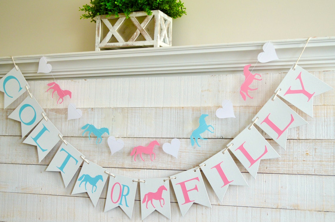 Colt or Filly Gender Reveal Boy or Girl Horse Themed Baby Etsy