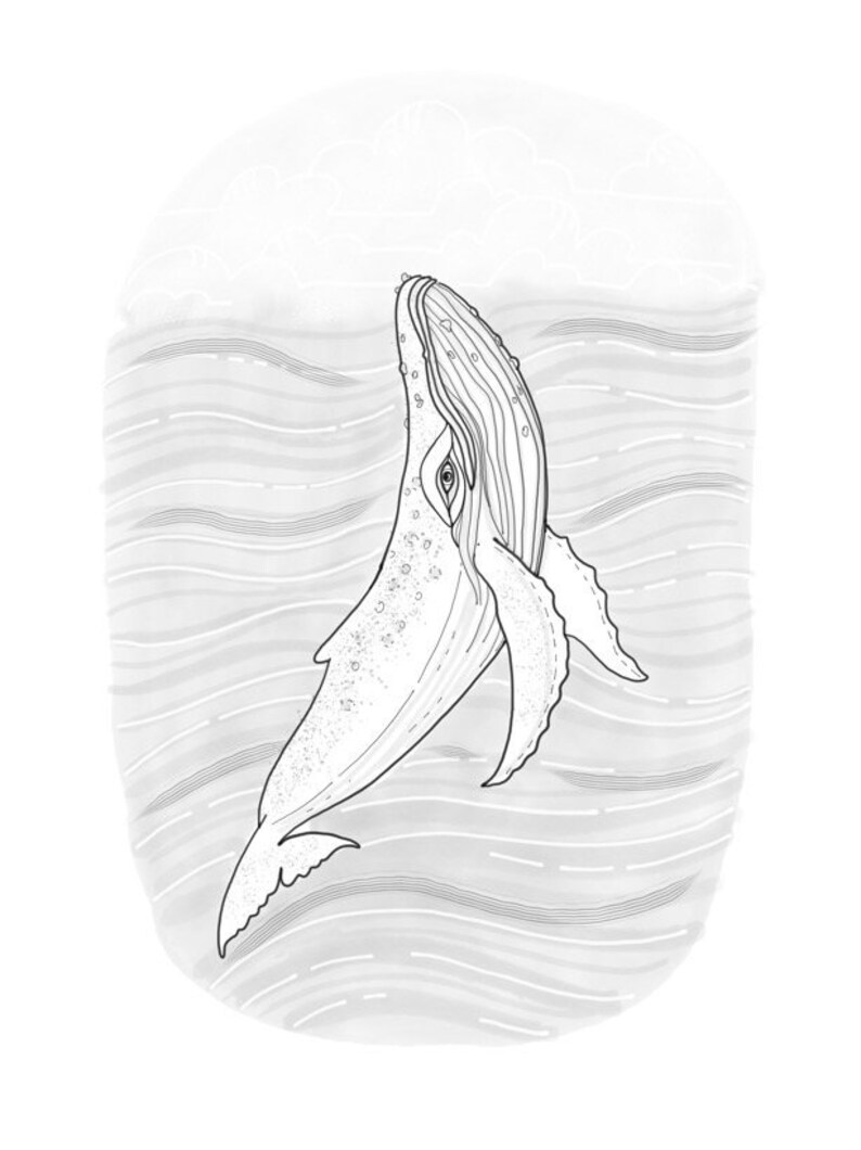 Whale drawing Animal spirit
