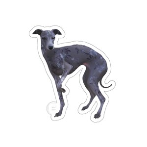 Adesivo in vinile Greyhound italiano