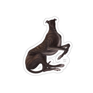Greyhound Vinile Adesivo