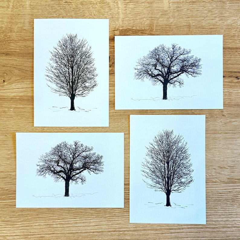 Tree Cards Hand Hand-drawn Tree Note Cards: Winter Oak, Maple, Elm, Sycamore Designs ...