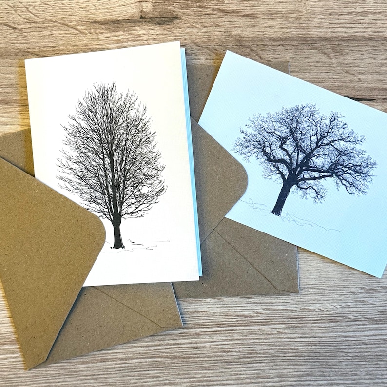 Tree Card Edge Hand-drawn Tree Note Cards: Winter Oak, Maple, Elm, Sycamore Designs ...