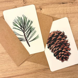 May include: Two greeting cards with botanical illustrations and brown envelopes. One card features a green and brown pine branch, the other a brown pine cone. The cards are on a wooden surface.