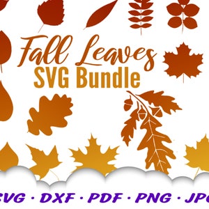 Pacote SVG de folhas de outono - Arquivos SVG de folhas de outono para Cricut - Folha de outono SVG - Clip Art Svg de Ação de Graças - Svg de outono - Arquivos de corte Svg de folhas