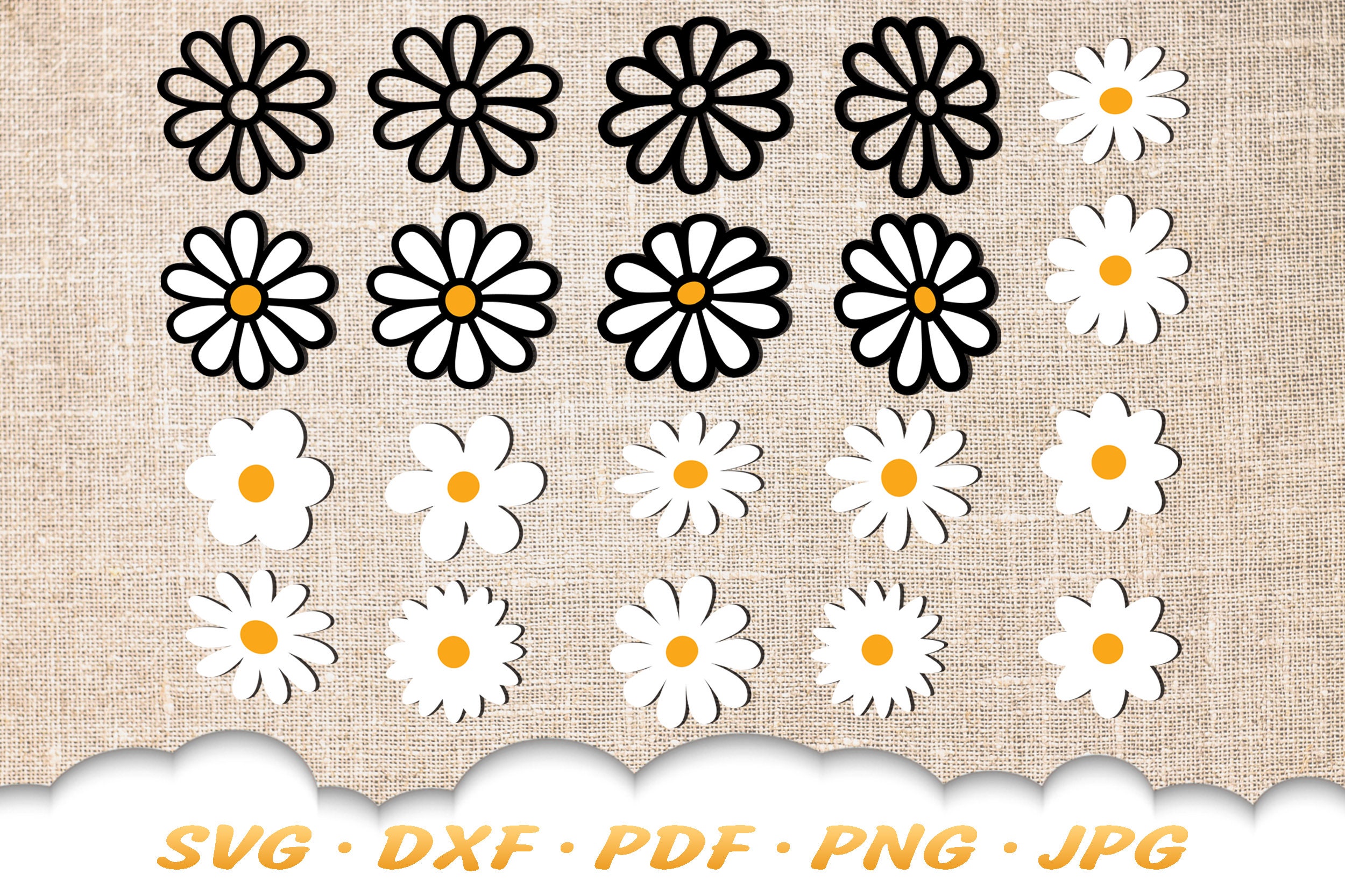 Daisy SVG Bundle Daisy Svg Flower Svg Daisy Png Daisy - Etsy Finland