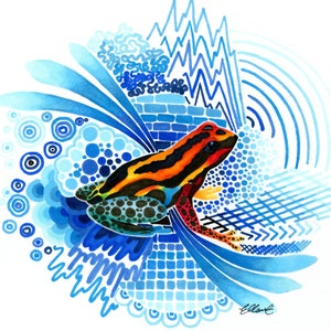 Rainbow Poison Dart Frog Etsy Poison dart frogs feed upon a number of small insects. rainbow poison dart frog etsy