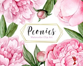 Peony Clipart, Watercolor Clipart, Floral, Wedding Clipart, Peonies