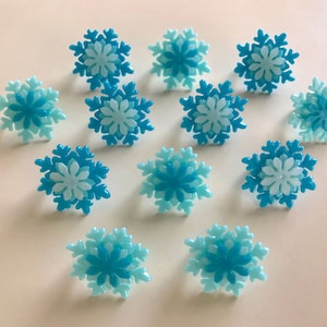 Op de afbeelding: Twaalf blauwe en witte sneeuwvlok-vormige ornamenten. De sneeuwvlokken zijn gelaagd met een lichtblauwe buitenlaag en een witte binnenlaag.