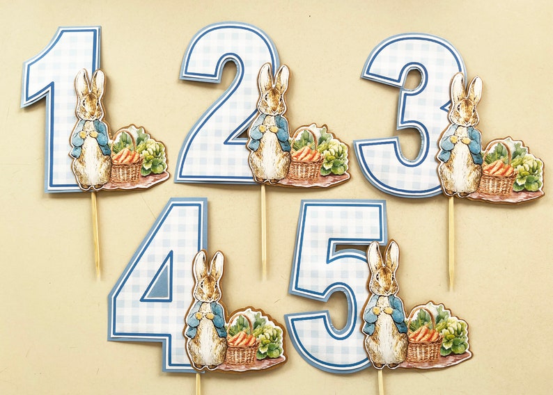 May include: Five blue and white gingham cake toppers featuring Peter Rabbit with a basket of carrots. Each topper has a number from 1 to 5.