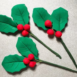 Puede incluir: Cuatro hojas verdes de acebo con bayas rojas unidas a tallos verdes. Las hojas están dispuestas en un racimo, con las bayas agrupadas.