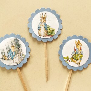 Peter Rabbit Cupcake Toppers - (set of 12) - Etsy