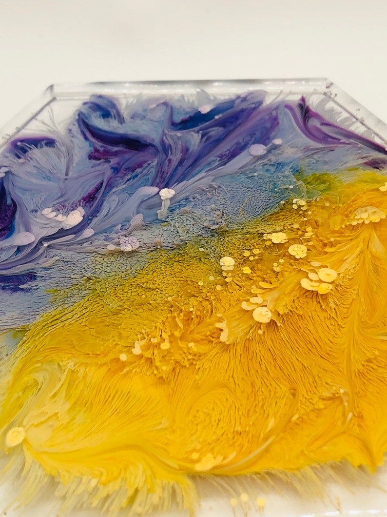 Texas Resin Set of 4 Blueberry Lemon Coasters