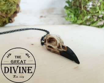 Bird Skull Necklace - Etsy