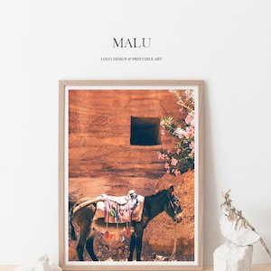Donkey Print, Donkey Photography, Donkey Wall Art, Donkey Download, Photography_13
