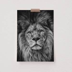 Lion Print, Lion Printable, Safari Print, Digital Download, Lion Animal Print, Lion Wall Art, Black and White, Lion Photo
