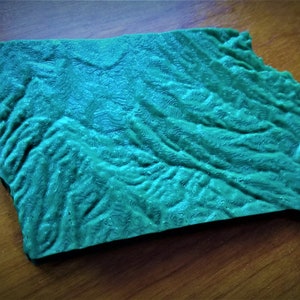 3D-Printed Topographical USA State Map image 3