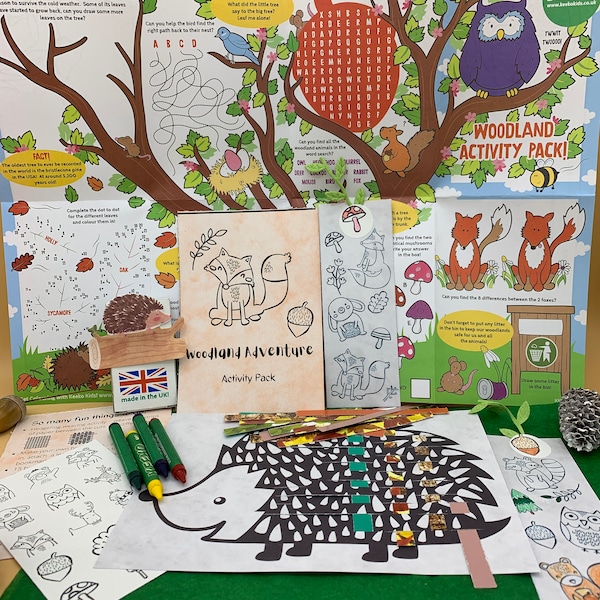 Pack d’activités sur les animaux des bois, cadeau pour enfants, artisanat d’art pour enfants de la forêt, sans plastique écologique, boîte aux lettres d’anniversaire nature