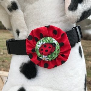 May include: A red and black ladybug-themed dog collar charm with a white daisy and green leaf design. The charm is attached to a black dog collar.