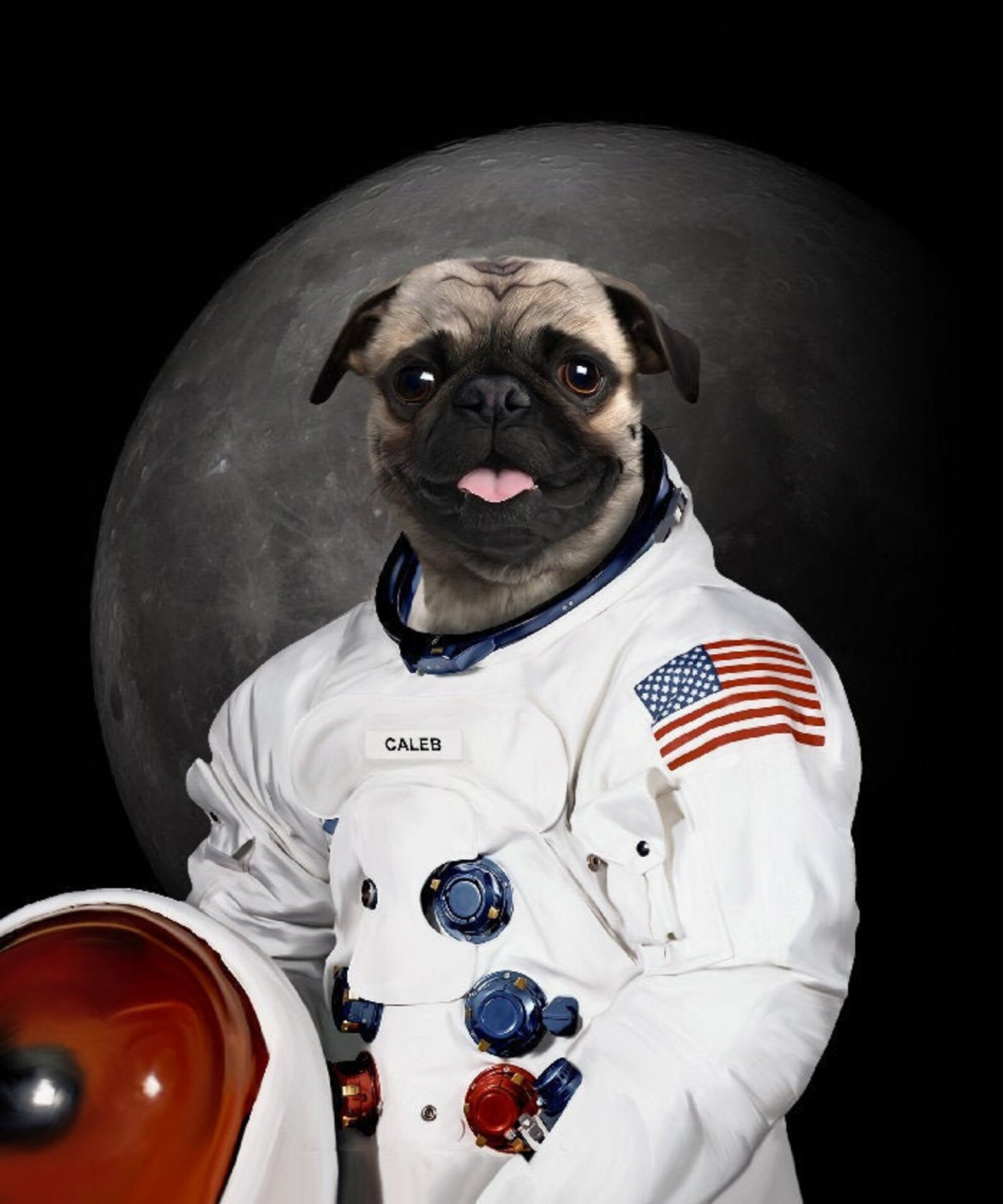 Custom Astronaut Pet Portrait Custom Pet Portrait Space Etsy