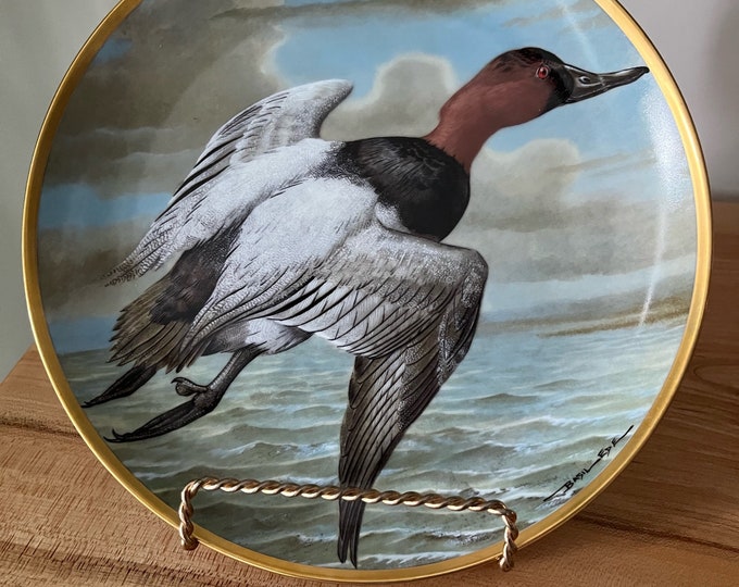 Water Birds of the World Collectible Plate Pintail Etsy