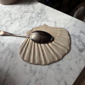 Può includere: Un cucchiaio color argento metallizzato poggia su un piatto in ceramica beige testurizzato a forma di conchiglia. Il cucchiaio presenta una parte concava ovale liscia e un manico sottile, mentre il piatto a conchiglia mostra evidenti creste radiali.