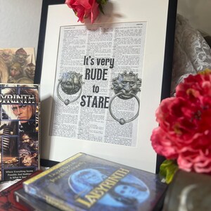 May include: A framed print with the text "It's very RUDE to STARE" and two lion-head door knockers. The print is on a newspaper-like background. A Labyrinth DVD and VHS tape are visible. A pink rose and other decorative items are also present.