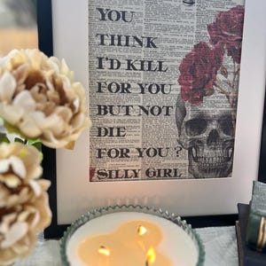 LORDS series, Silly Girl, The Ritual, The Sacrifice, The Sinner, Shantel Tessier, Dark Romance, Dictionary Print, bookish