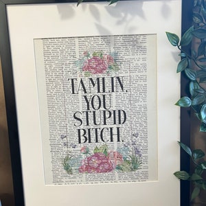 Tamlin You Stupid Bitch, ACOTAR, A Court of Thorns and Roses, Dictionary Print, Vintage Print, Book art, Book, Reading, bookish gift, reader