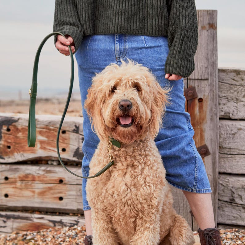 Green Leather Dog Collar Handmade Adjustable Pet Collar for Small and